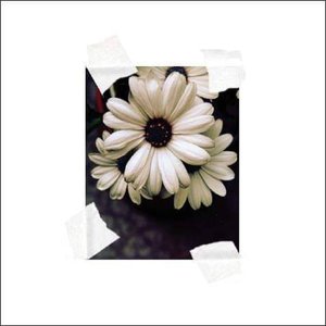 Image for '-'
