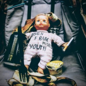 Image for 'Disenfranchised Youth'