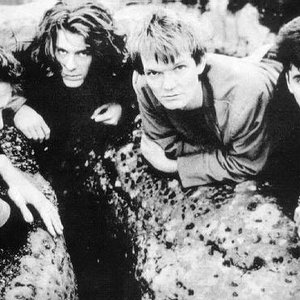 Image for 'House of Love'