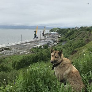 Imagen de 'Музыкальная открытка'