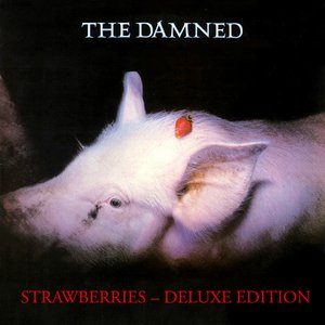 Image pour 'Strawberries (Deluxe Edition)'
