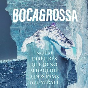 Image for 'No em direu res que jo no m'hagi dit a dos pams del mirall'