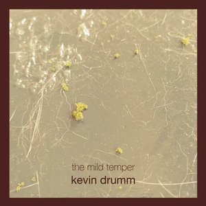 'The Mild Temper' için resim