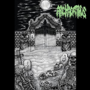 Image for 'Archagathus / Terror Firmer'