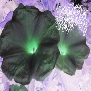 Zdjęcia dla 'Dreaming Samael'