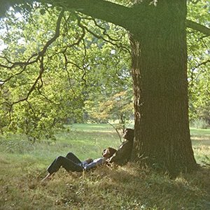 Image pour 'John Lennon/Plastic Ono Band (The Ultimate Mixes)'