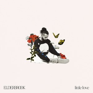 Image for 'Little Love'