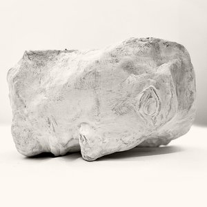 Image for 'Falling Posture'