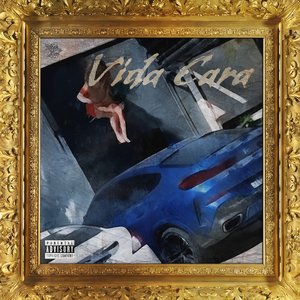 Image for 'Vida Cara'