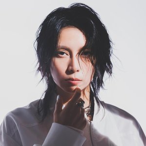 Image for '柴咲コウ'