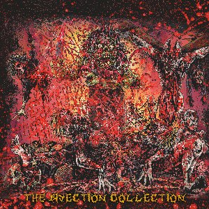 Image for 'The Bisection Collection'