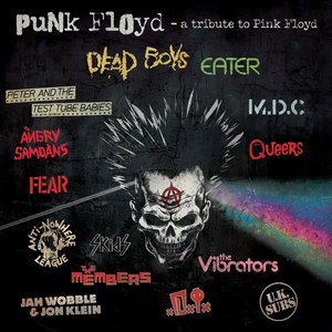 Image for 'Punk Floyd: A Tribute To Pink Floyd'