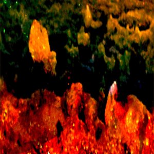 Image for 'Deister Orchestra'