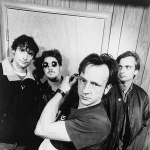Immagine per 'The Jesus Lizard'