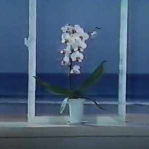 Image for '水に流す'