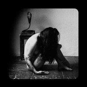 Image pour 'Chimères'