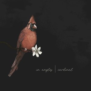 Bild für 'Cardinal'