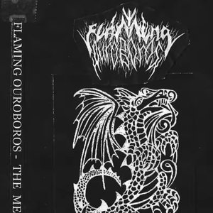 Image for 'The Memory'