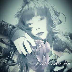 Image for 'Cullcanecho'