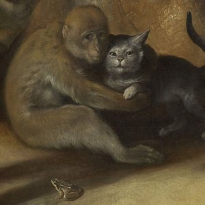 Image for 'Almost Waking'