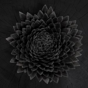 Immagine per 'Obsidian'