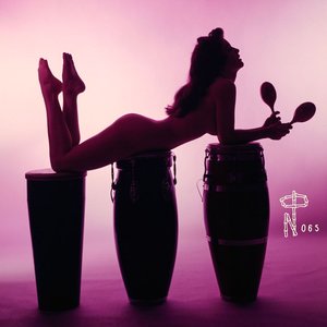 Image pour 'Technicolor Paradise - Rhum Rhapsodies & Other Exotic Delights'