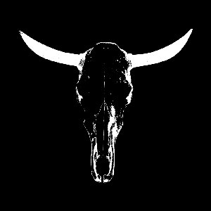 Image for 'red heifer'