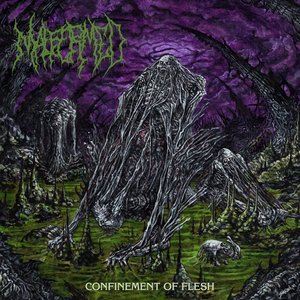 Image for 'Confinement of Flesh'