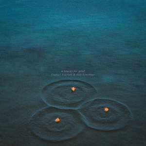 Image for 'a liturgy for grief'