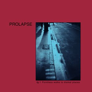 Image for 'Pointless Walks to Dismal Places'