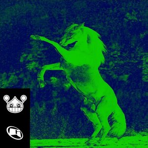 Image for 'DONKEY STOMP'