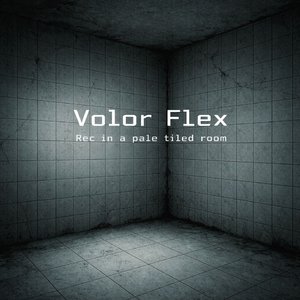 Image for 'Rec in a Pale Tiled Room'