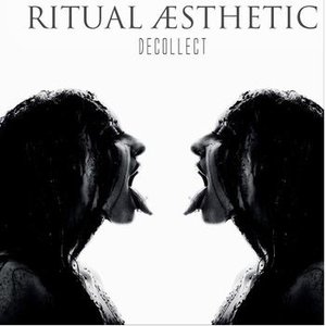 Image for 'DECOLLECT'