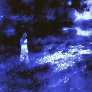 Image for 'lilacs'