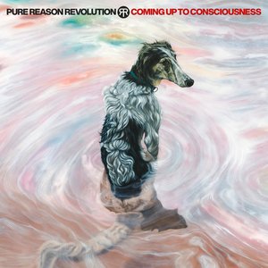 Image for 'Coming Up To Consciousness'
