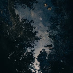 Image for 'Fields'