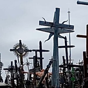 Image for 'cult friends'