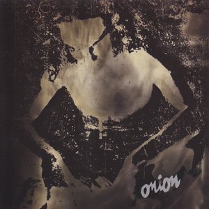 “Between Baum & Wolle”的封面