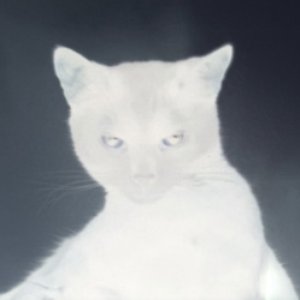 Image for 'KONEKSJE VOL. 1'