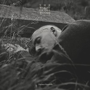 Image for 'The Weight of the Woods'