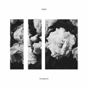 Image for 'Perceptions'