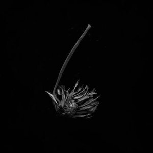 Image for 'Eidolon'