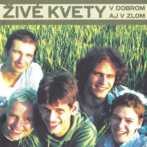Image for 'V dobrom aj v zlom'