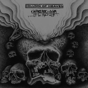 Bild für 'Column Of Heaven / Suffering Luna'