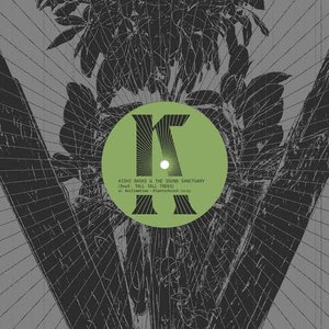 Image for 'Kishi Bashi & Tall Tall Trees & The Sound Sanctuary - EP'