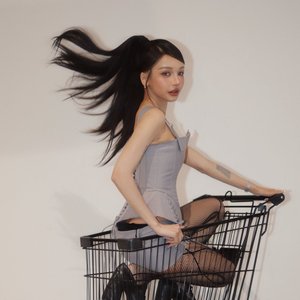 “bowkylion”的封面