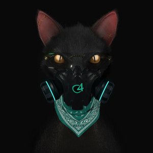 Imagen de 'Gato de Noche'