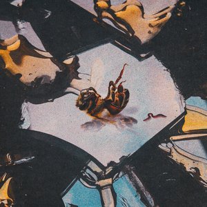 Image for 'HONEY ROT'