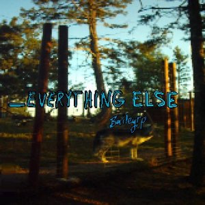 Image for '_Everything else (reimagined)'