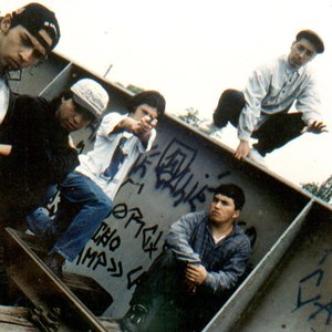Image for 'Panteras Negras'